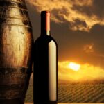 SILVA DASKALAKI WINERY, Red Dry Wine "Enstikto", BIO, Crete, Greece, Award-Winning, 750ml - Image 3