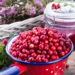 KESIDIS, Lingonberries (Brusnika), frozen (shock freezing method), 450g (Best before 15/08/2027) - Image 4