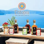 ENTOPIA, Peach Spread (Jam), 100% made from fruits & juices, Handmade, No Sugar added, 225g (Best before 28/02/2026) - Image 3